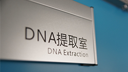 新疆区匿名DNA亲子鉴定的流程，新疆区隐私亲子鉴定大概价格