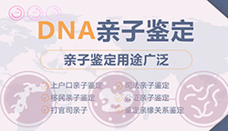 海南省匿名DNA亲子鉴定流程，海南省个人亲子鉴定收费多少钱