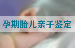 枣庄私密亲子鉴定需要什么手续，枣庄隐私亲子鉴定需要多少费用