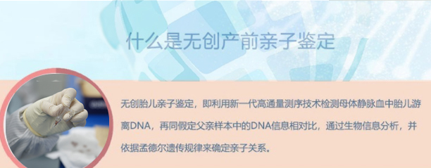 在上海怀孕期间要如何办理胎儿亲子鉴定,上海办理孕期亲子鉴定准不准
