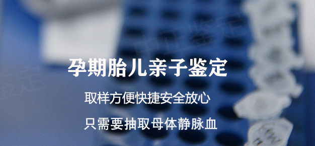 西藏怀孕亲子鉴定要多少费用,