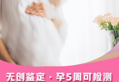 陕西省孕期亲子鉴定收费是多少钱,
