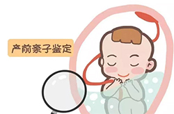 呼和浩特怀孕需要怎么做亲子鉴定，呼和浩特产前做亲子鉴定具体流程